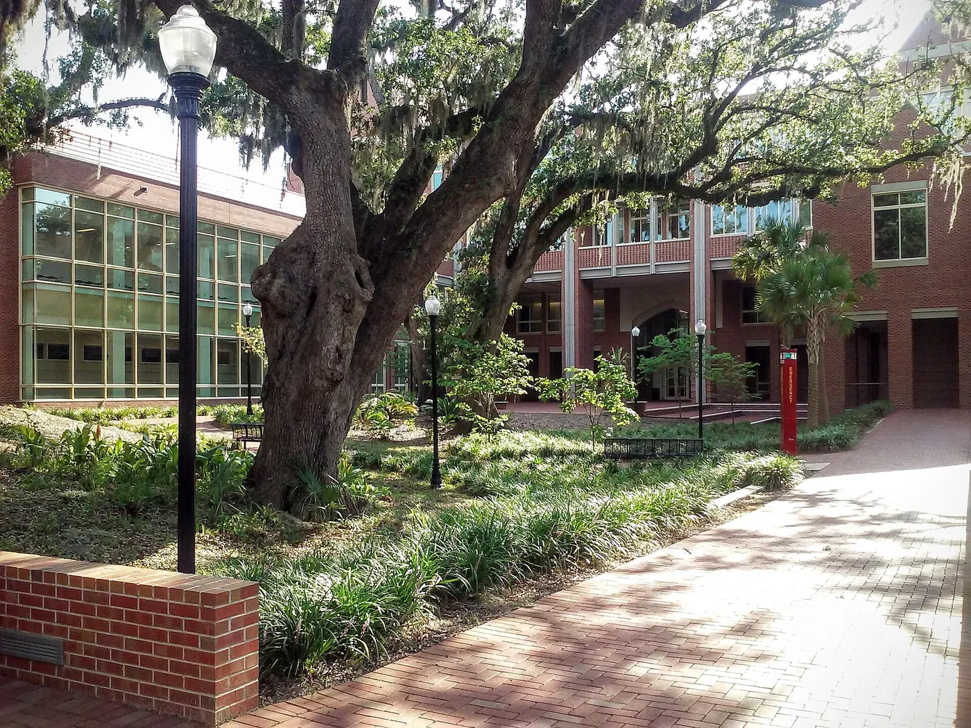 佛罗里达州立大学校园
