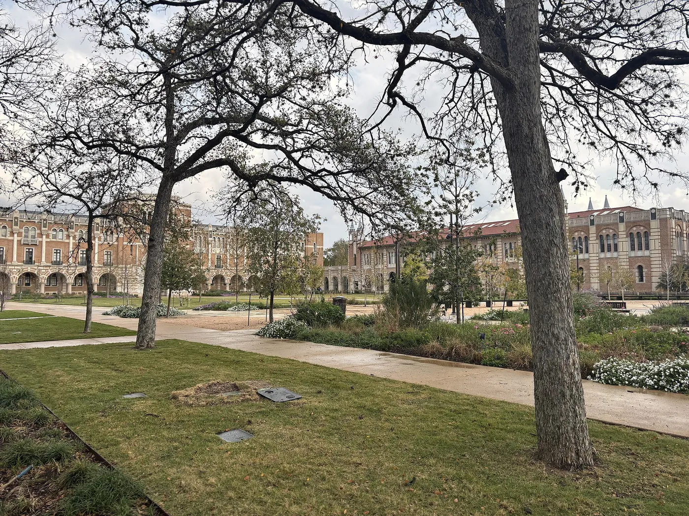 莱斯大学校园