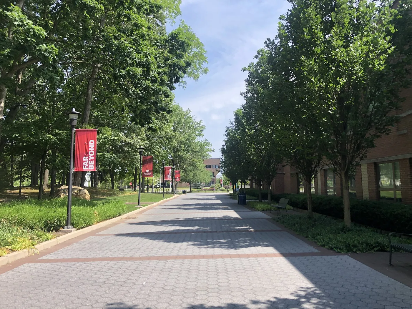 纽约州立大学石溪分校校园