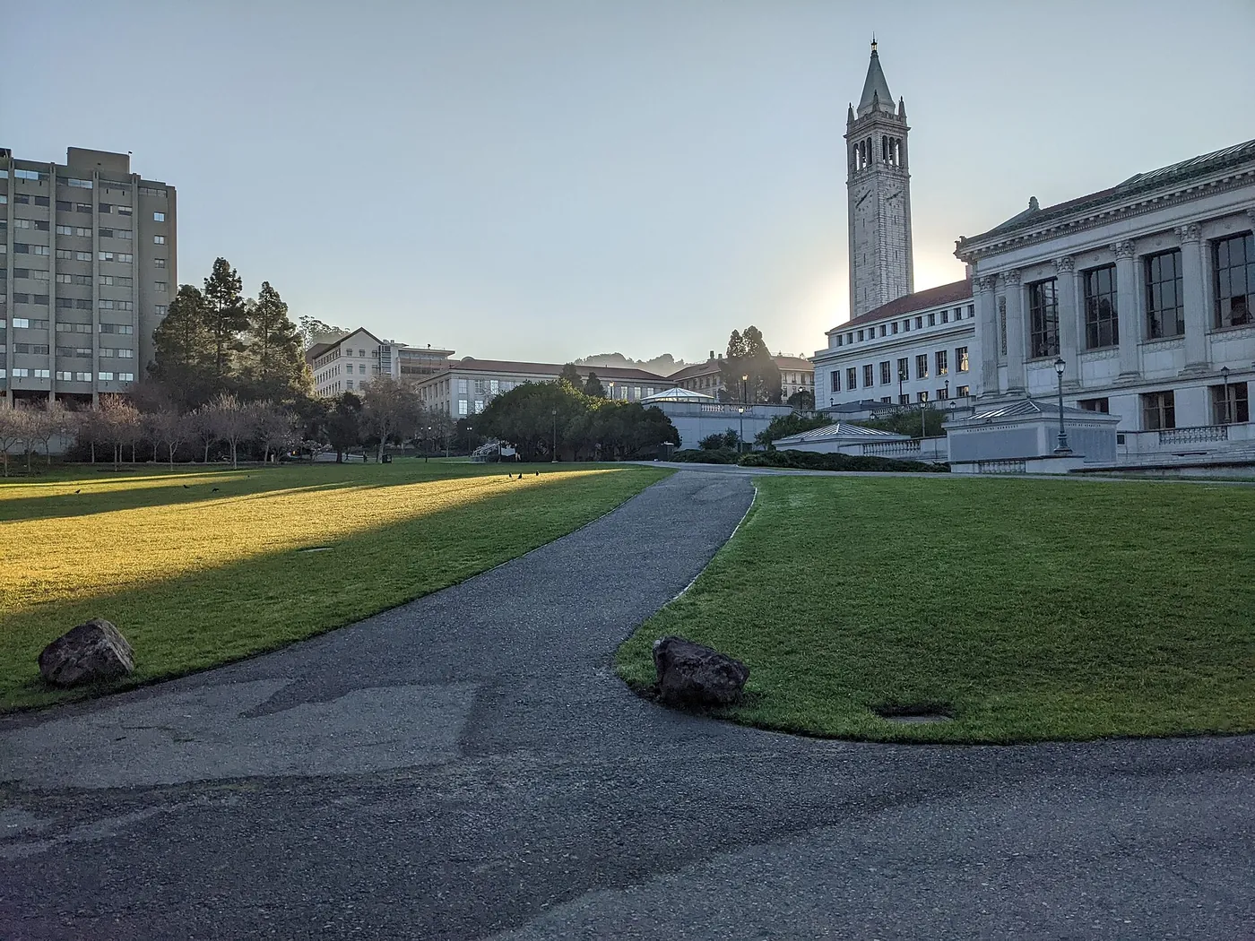 加州大学伯克利分校校园