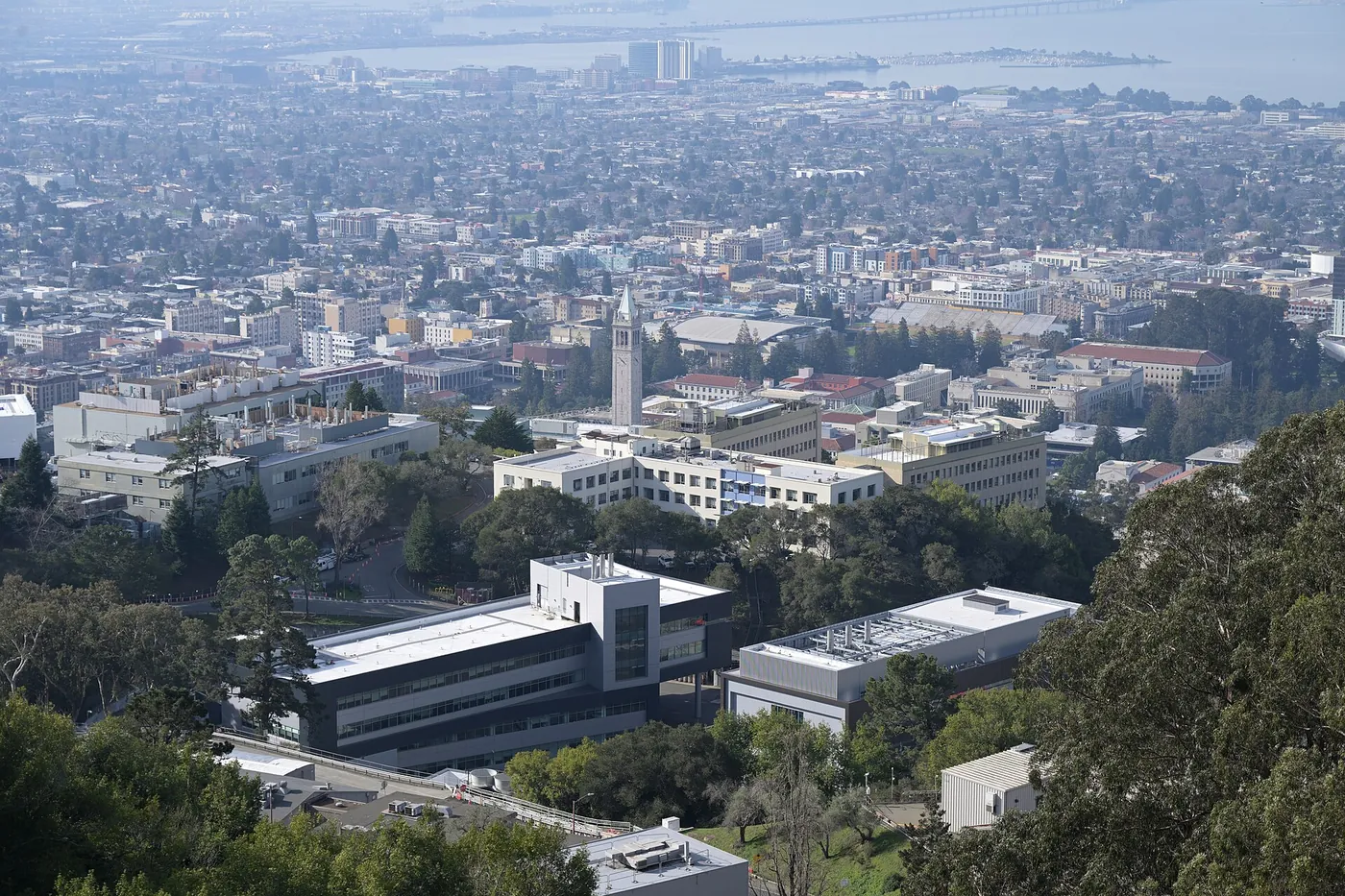 加州大学伯克利分校校园