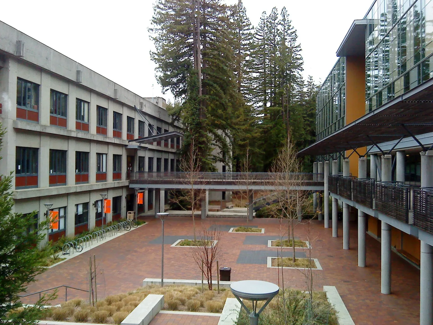 加州大学圣克鲁兹分校校园