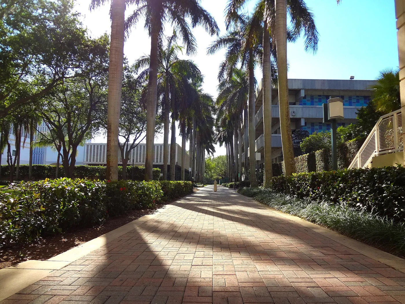 迈阿密大学校园