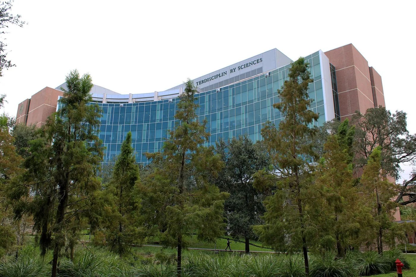 南佛罗里达大学校园